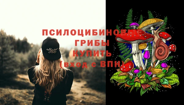 бошки Алзамай