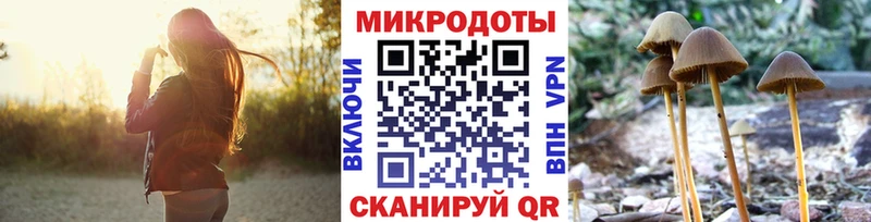 Галлюциногенные грибы прущие грибы  kraken tor  Дмитриев 